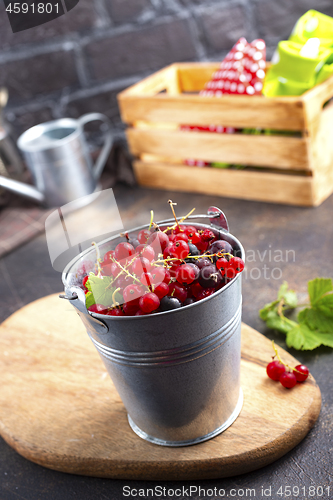 Image of red currant