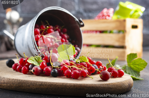 Image of red currant