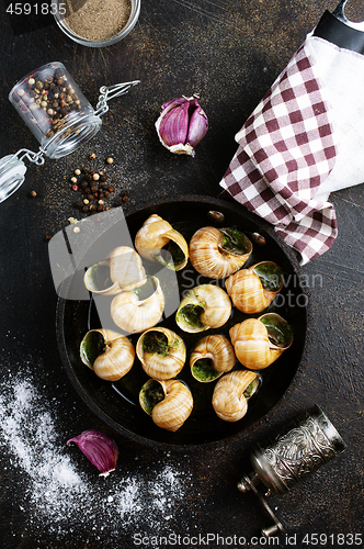 Image of snails