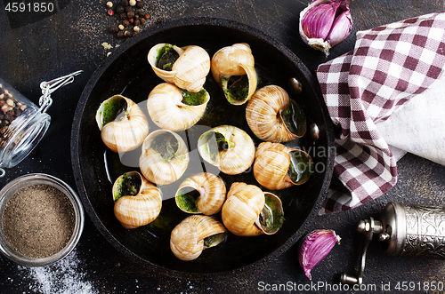 Image of snails