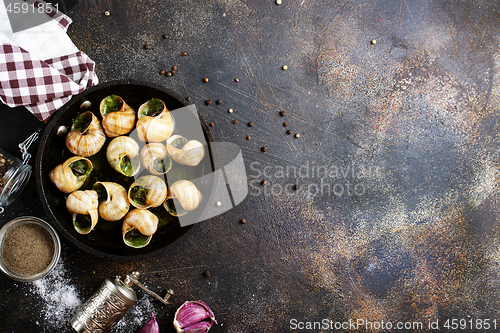 Image of snails
