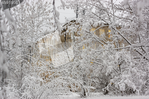 Image of Light in house windows through snowy branches of trees on winter morning