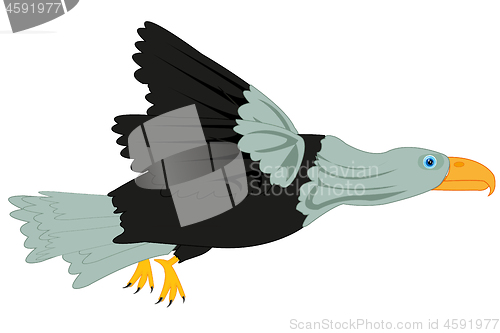 Image of Bird eagle on white background is insulated