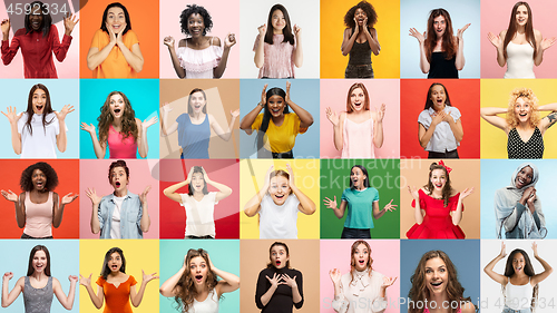 Image of Portrait of multiethnic group on multicolored background