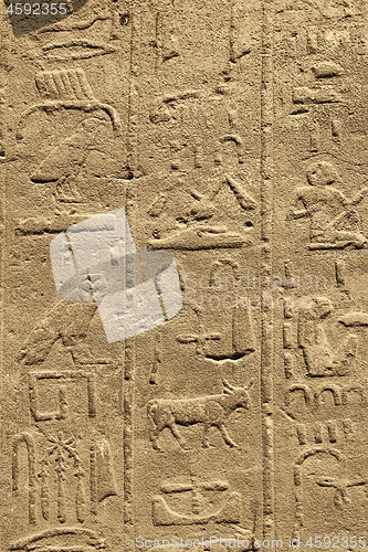 Image of Ancient egyptian hieroglyphs carved on the stone in the Karnak T