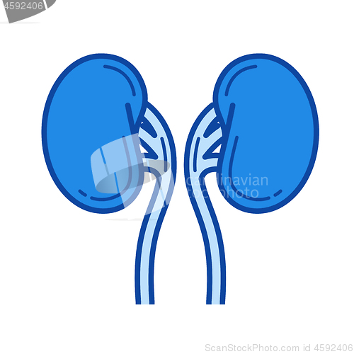 Image of Human kidneys line icon.