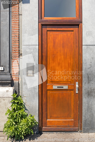 Image of Narrow Wooden Door