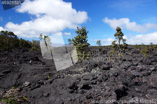 Image of Lava at Hawaii, United States of America