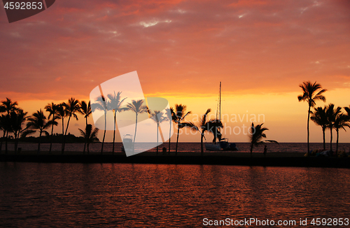 Image of Hawaii, USA, Sunset