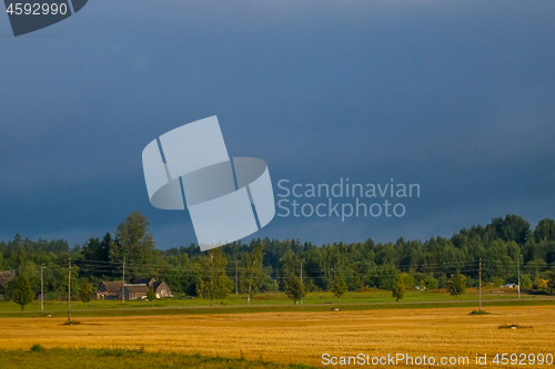 Image of Landscape of yellow cornfield and blue sky.