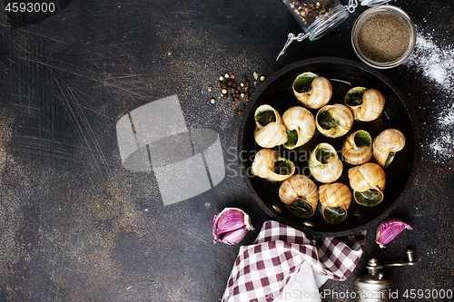 Image of snails