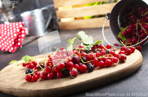 Image of red currant