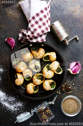 Image of snails