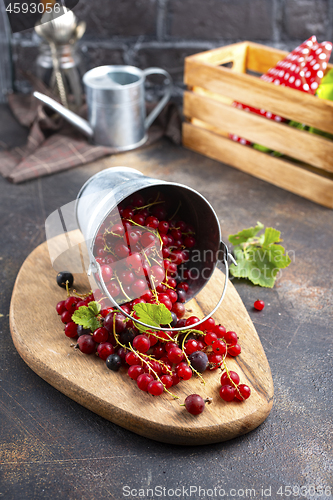 Image of red currant