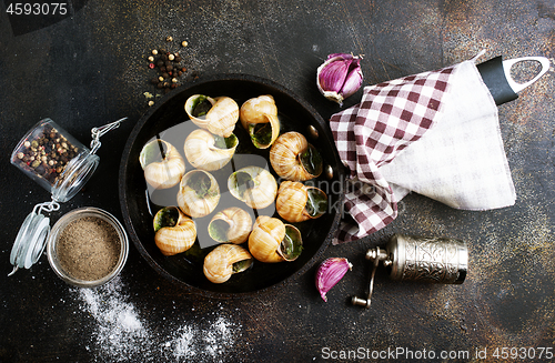 Image of snails