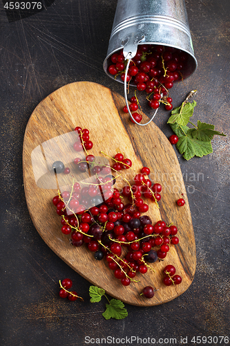 Image of red currant