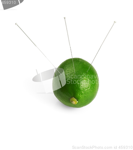 Image of lime and needle