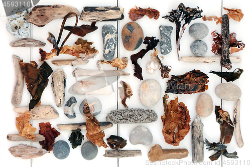 Image of Driftwood Seaweed and Pebble Abstract