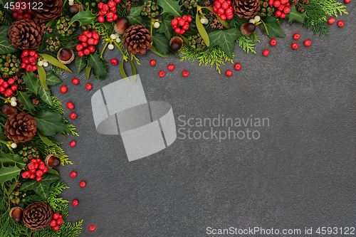 Image of Winter Background Border with Flora and Holly Berries