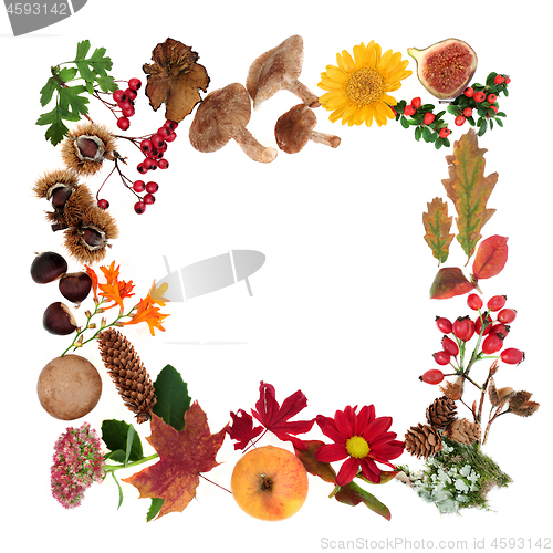 Image of Natural Autumn Wreath