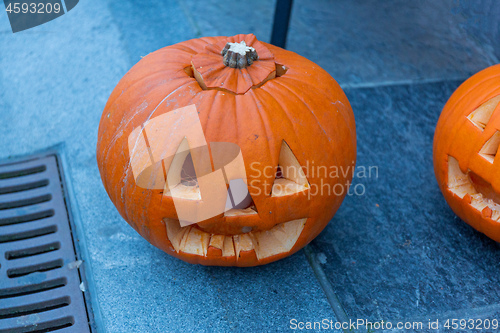 Image of Carved Pumpkins Halloween
