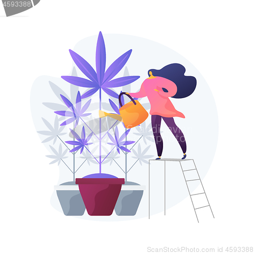 Image of Hemp growing vector concept metaphor