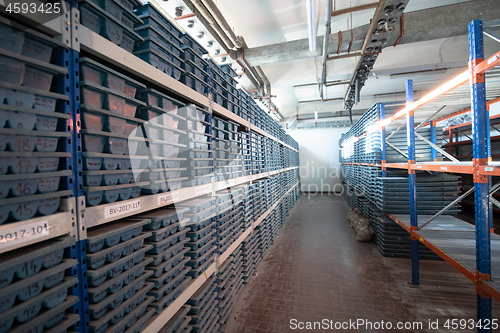 Image of gold rock core drill samples storage