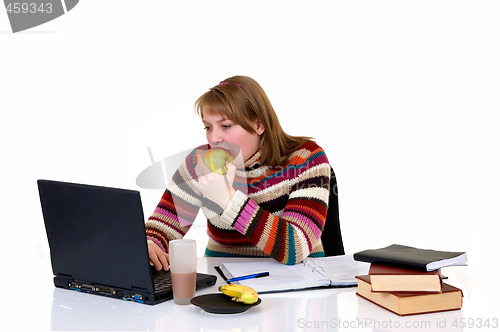 Image of Teenager student doing homework
