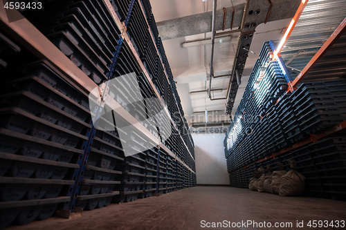 Image of gold rock core drill samples storage