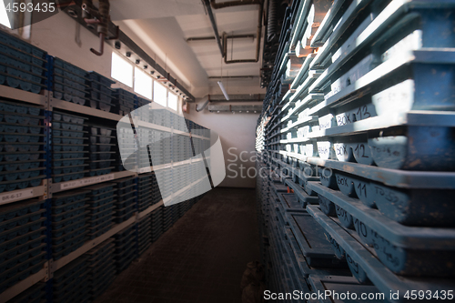 Image of gold rock core drill samples storage