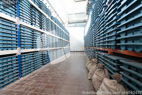 Image of gold rock core drill samples storage