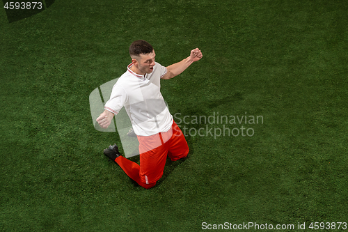 Image of Football player tackling ball over green grass background