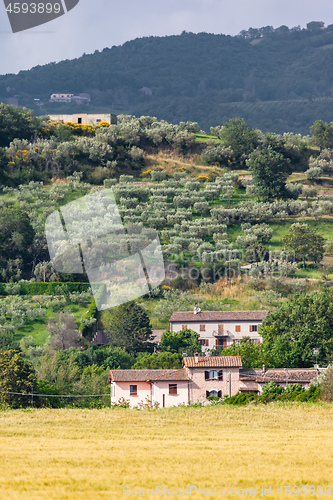 Image of landscape mood in Italy Marche