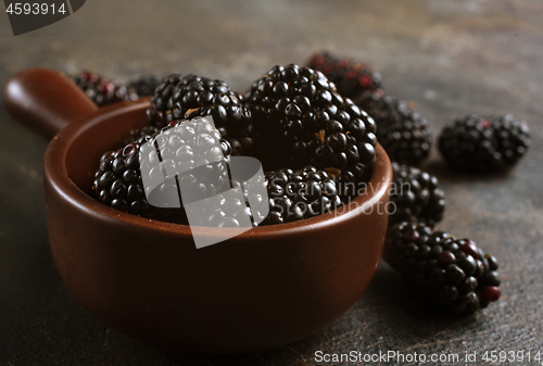 Image of blackberry