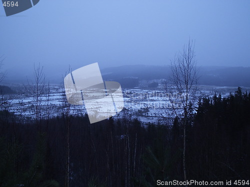 Image of Winter Landscape