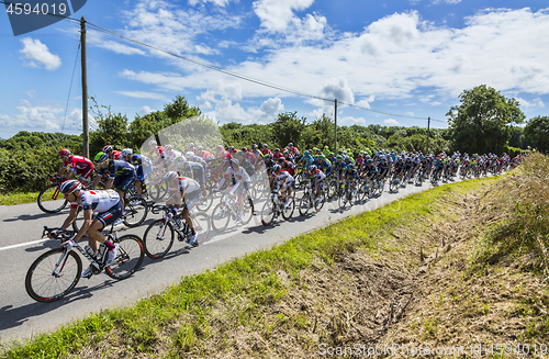 Image of The Peloton - Tour de France 2016