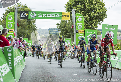 Image of The Peloton - Tour de France 2017