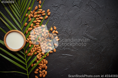 Image of Amond seeds with bowl of fresh natural milk placed on black stone background