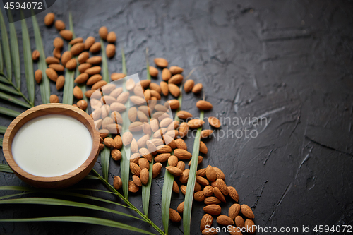 Image of Amond seeds with bowl of fresh natural milk placed on black stone background