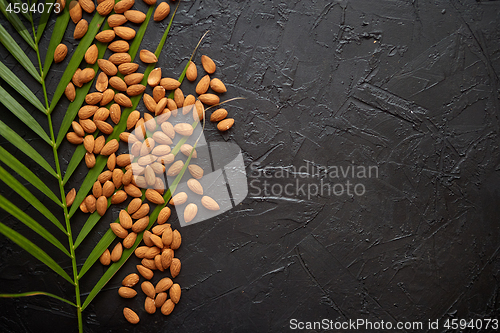 Image of Almond seeds and palm leaf placed on black stone table with copy space for text