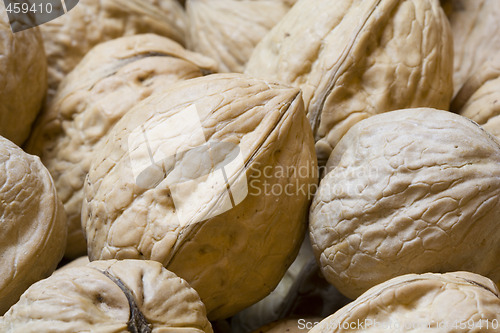 Image of walnuts pattern