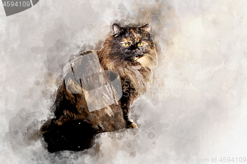 Image of Fluffy black-haired cat sitting and looking sadly . Stylization in watercolor drawing.