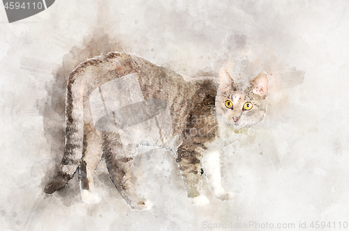 Image of A graceful gray tabby cat with yellow eyes stands and looks at the camera.. Stylization in watercolor drawing.