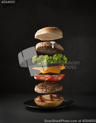 Image of Hamburger flying