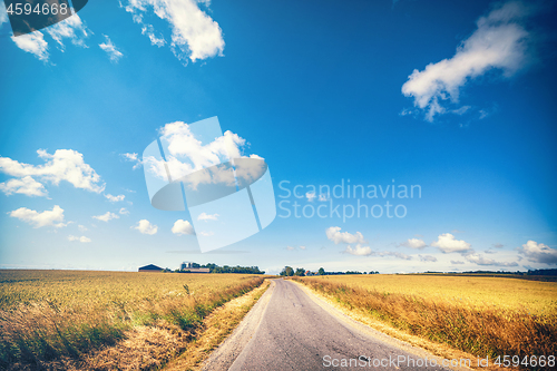 Image of Road leading to a farm in the summer