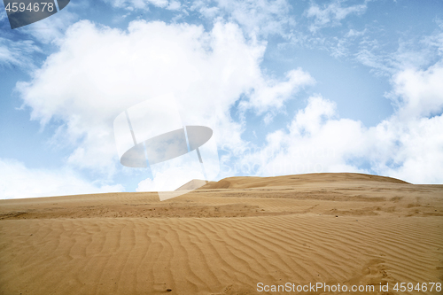 Image of Desert with sand ripples under a blue sky