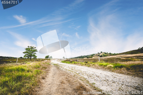 Image of Dirt road with green grass by the roadside