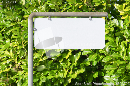 Image of Blank sign on a street with a green bush