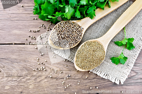 Image of Coriander ground and seeds in two spoons on board top