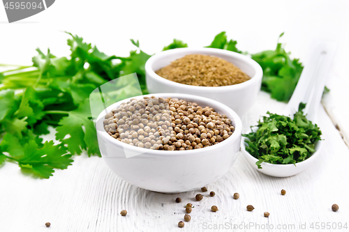 Image of Coriander ground and seeds in bowls on light board